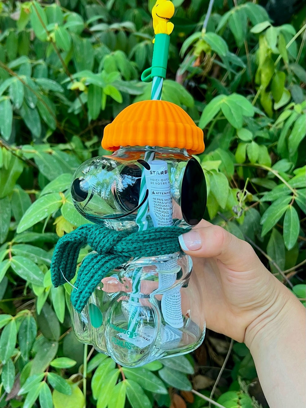 Starbucks x Peanuts Charlie Brown Snoopy glass tumbler with green knit scarf and